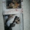 Handful of Hate - Blood Calls Blood - Image 2